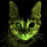 Fstentmtient's profile picture