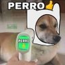 PERRO👍's profile picture