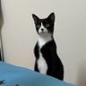 ruby 's profile picture