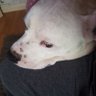 Tillo's profile picture