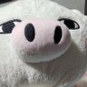 仮想通貨専用 まる🪼's profile picture