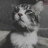 Profilbild von paduli_ah