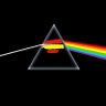 Raul's profile picture