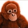 Evenko's profile picture