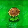 Sunflower 的头像