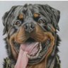 Godfrey Dzvairo's profile picture