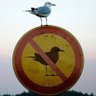 Remarka17's profile picture