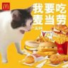 春风又绿江南岸 profil fotoğrafı