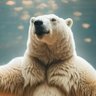 Dancing Bear 的头像