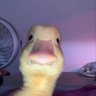 Profilbild von Elebe.lb