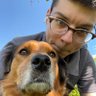Tom Strong's profile picture
