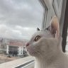 Фото профиля Esra💛