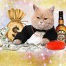 GatoDinero profil fotoğrafı