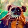Profilbild von Chuck U. Farley