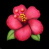 jtomka🌺 的头像