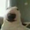Ange's profile picture