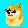 WhizDoge's profile picture