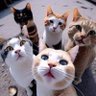 Turrubiates profil fotoğrafı
