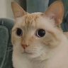 GoodLuci's profile picture