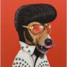 Profilbild von David G Jenkins