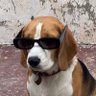 Ope's profile picture