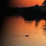Фото профиля walletF-g