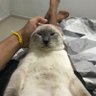 reis profil fotoğrafı