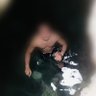 Andrei Jacobo's profile picture