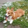 ⭐︎ profil fotoğrafı