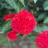 Фото профиля Mobis