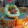 Фото профиля Dr. Alpana🇮🇳@Justice4SSR