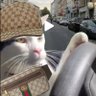 Profilbild von J