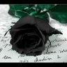 Black Rose 的头像