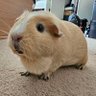 Grzegorz's profile picture