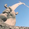 Mesopotamia 的头像