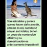PalomoReed's profile picture