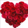 Melva21's profile picture
