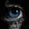الشواف's profile picture
