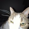kjay profil fotoğrafı