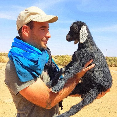 joaoleitao's profile picture