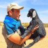 🐪 João Leitão's profile picture