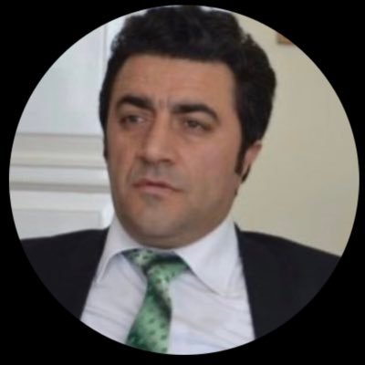 avomerturanli's profile picture