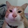 cila's profile picture