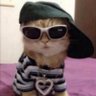 Dom's profile picture