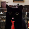 Фото профиля Mister Puddytat