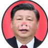 Profilbild von 在日中国大使館 擬 (mock Chinese Embassy to Japan)