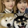 Фото профиля Why you should have a pet