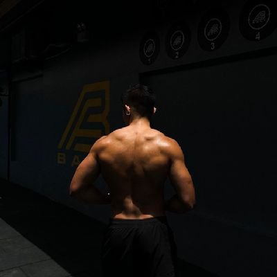 KUTARO DIMANAMI's profile picture