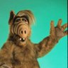 Alf Melmak's profile picture