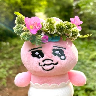 おぱ活ます🐰's profile picture